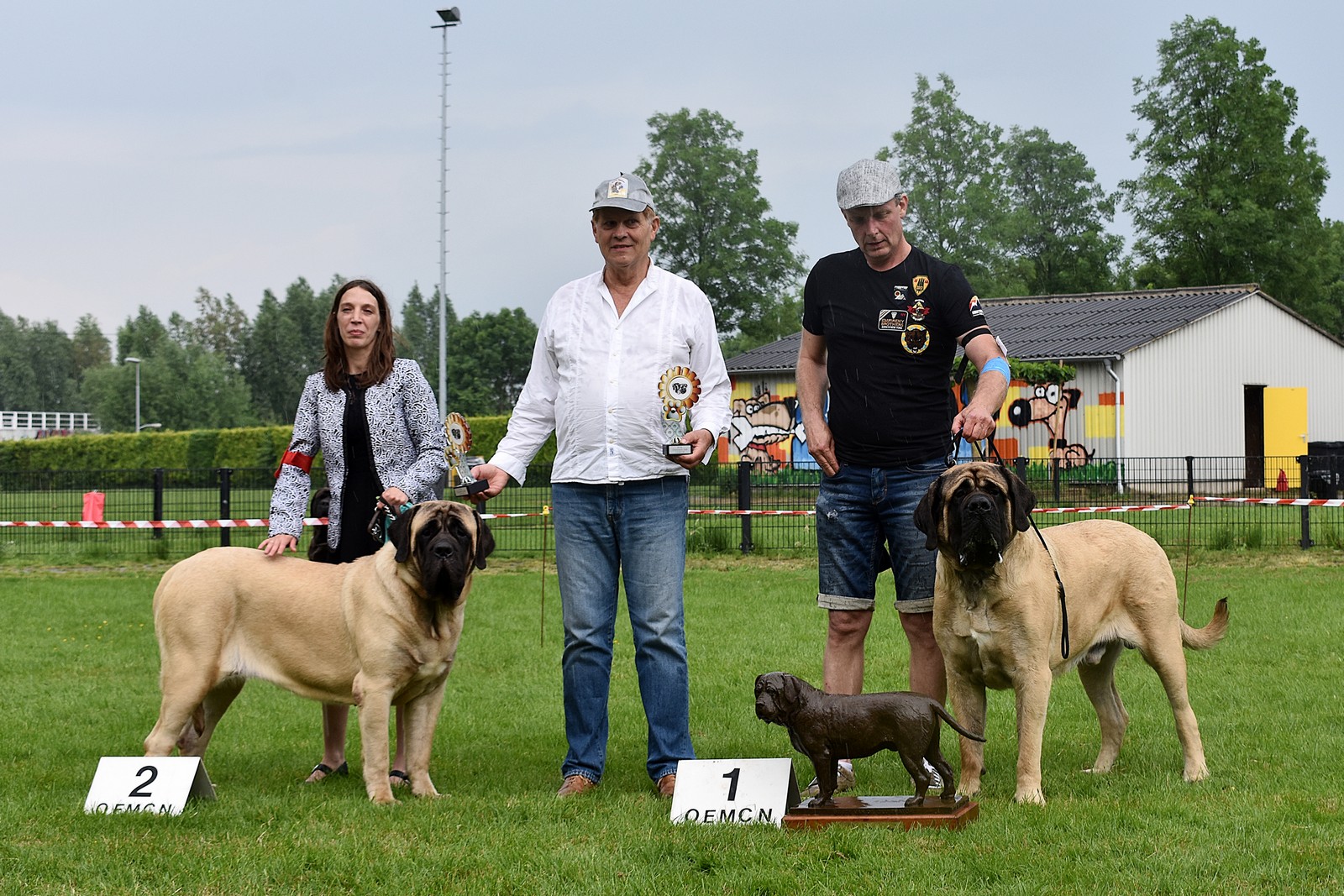 Krato van de Franckenahoeve, 3,5 jaar oud, Clubwinner 2018